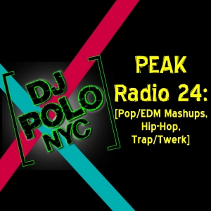 PEAK Radio 24: [Pop/EDM Mashups, Hip-Hop, Trap/Twerk]