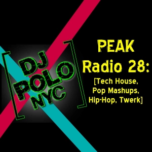PEAK Radio 28: [Tech House, Pop Mashups, Hip-Hop, Twerk]
