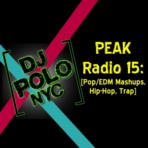 PEAK Radio 15: [Pop/EDM Mashups, Hip-Hop, Trap]