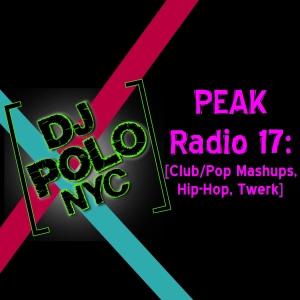 PEAK Radio 17: [Club/Pop Mashups, Hip-Hop, Twerk]