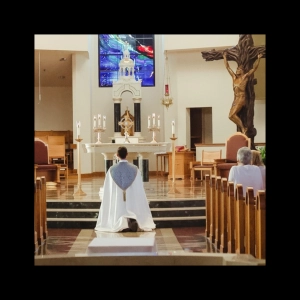 Homilies - Fr. Daniel Scheidt - St. Vincent de Paul