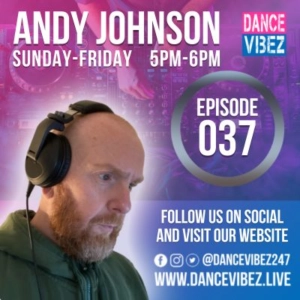 Andy Johnson - Funky Vibez #37 (House Music DJ Mix)