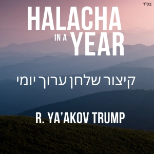 Halacha in a Year