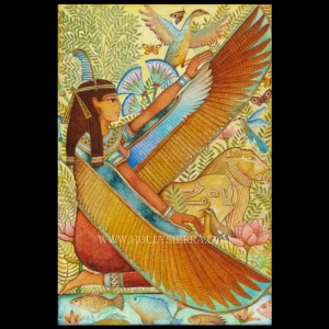 Push the Peace Path and Crops of Life