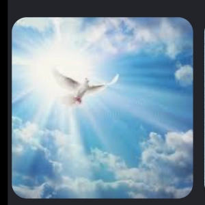 Doves  🕊️ and a Peaceful  🍃Journey 🦋☀️🌸