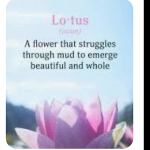 Pink and Chakras Equanimity