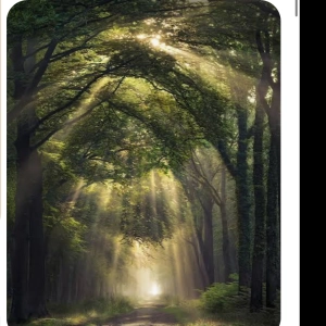 Grounding Journey’s and to  Manifest