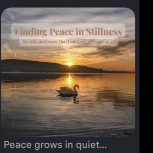 Fulfillment and success
