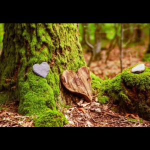 Shared. Expressions of Compassion