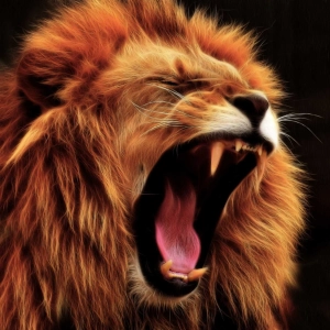 Escaping the Lion's Den