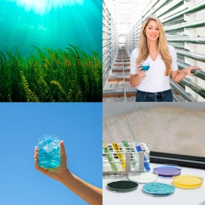 THE SPIRULINA REVOLUTION with FUL FOODS Co-Founder Julia Streuli & Oberon Sinclair