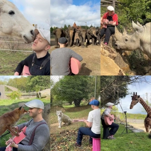 Animals & The Healing Power of Music with Musician PLUMES