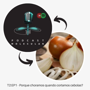 T2: EP1 - Porque choramos quando cortamos cebolas?