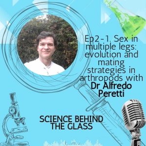 Sex in mulitple legs: evolution and mating strategies in arthropods with Dr Alfredo Peretti