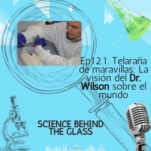 Telaraña de maravillas: La visión del Dr. Wilson sobre el mundo