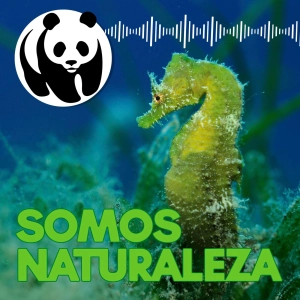 El Mar Menor, de paraíso a sopa verde - Ep. 4 🦠