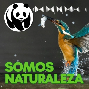 Como agua de mayo 💦 - Ep. 3