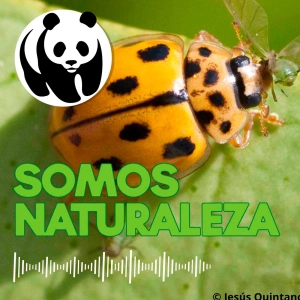 Aliados naturales 🐞 - Ep. 14