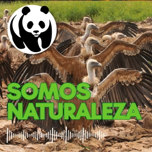 Un refugio para las rapaces 🦅 - Ep. 15