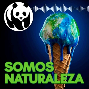 COP26 Parte 1 🌡  - SP 1