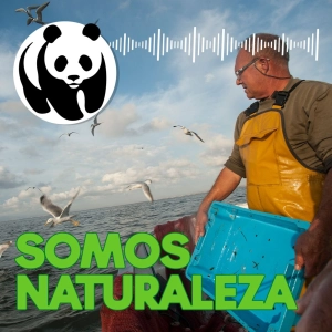 Pero mira cómo beben... 🐟 - Ep. 9