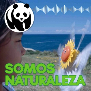 Energía de récord 📈 - Ep. 7