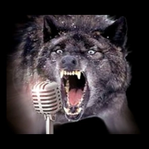 Trapping Radio Podcast 549, Selling FUR!