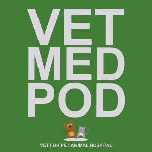 Meet Dr. Ahmad Ali: The Veterinarian Behind Vet For Pet Animal Hospital