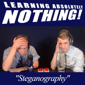 Steganography (L.A.N. #22)