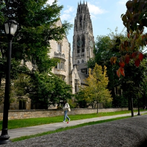 What Yale saw when it looked in the mirror