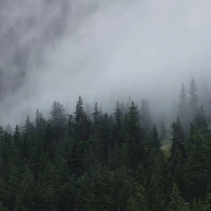Why have so many of us seen ghosts?