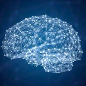 The Algorithmic Mind and the Limits of Computation