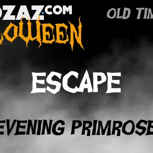 Old Time Radio Horror – Escape – Evening Primrose