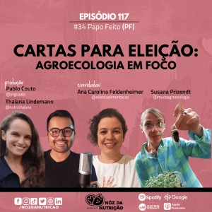 #117 Papo Feito  – Cartas para Eleições