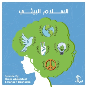 2.12 السلام البيئي