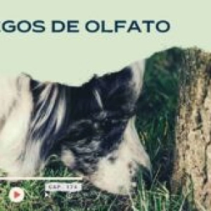 Juegos de olfato- Capítulo 171