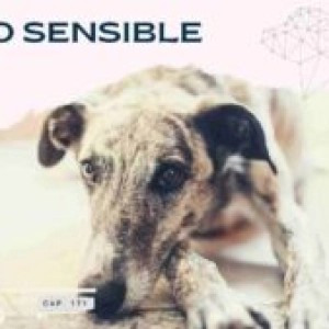 El perro sensible- Capítulo 172