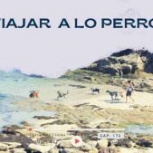 misión canina-  viajar- capítulo 174