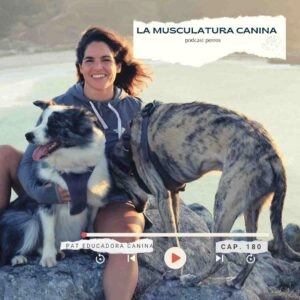 La musculatura canina- Capítulo 180