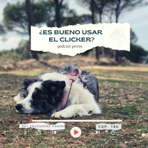 Sobre el clicker – Capítulo 186