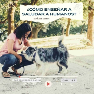 ¿Cómo enseñar a saludar humanos?- Capítulo 187
