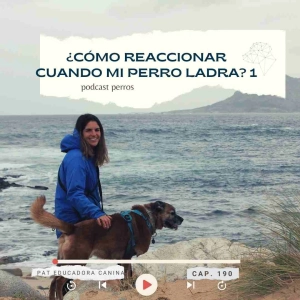 ¿Cómo actuar cuando mi perro ladra? 1- capítulo 189