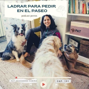 Mi compañera perra ladra para pedir en el paseo- Capítulo 191
