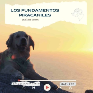 Fundamentos piracaniles