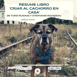 ¿Cómo criar al cachorro en casa? Turid Rugaas- Resumen- Capítulo 200
