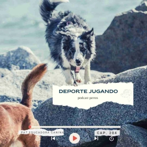 Deporte jugando – Capítulo 204