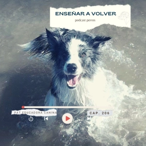 Enseñar a volver- capítulo 206