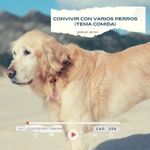 conVIVIR con varios piracanes y la comida- Capítulo 208