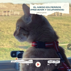 El miedo en perros (entenderlo y ocuparnos) - capítulo 209