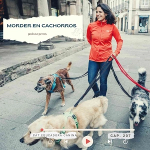 Mi cachorro me muerde – capítulo 207